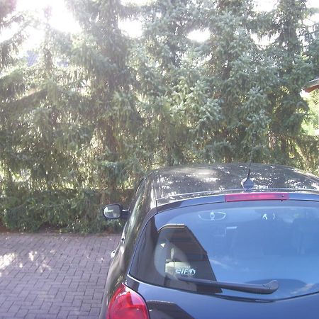 Ferienwohnung Ina Rust Exterior foto